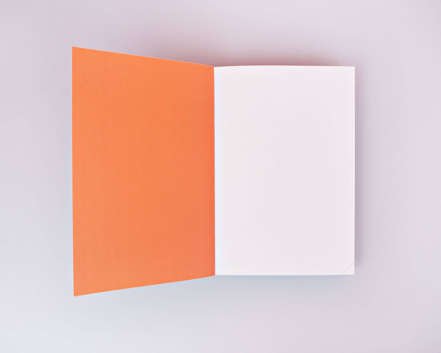 The Completist | A5 Lay Flat Notebook | Florence