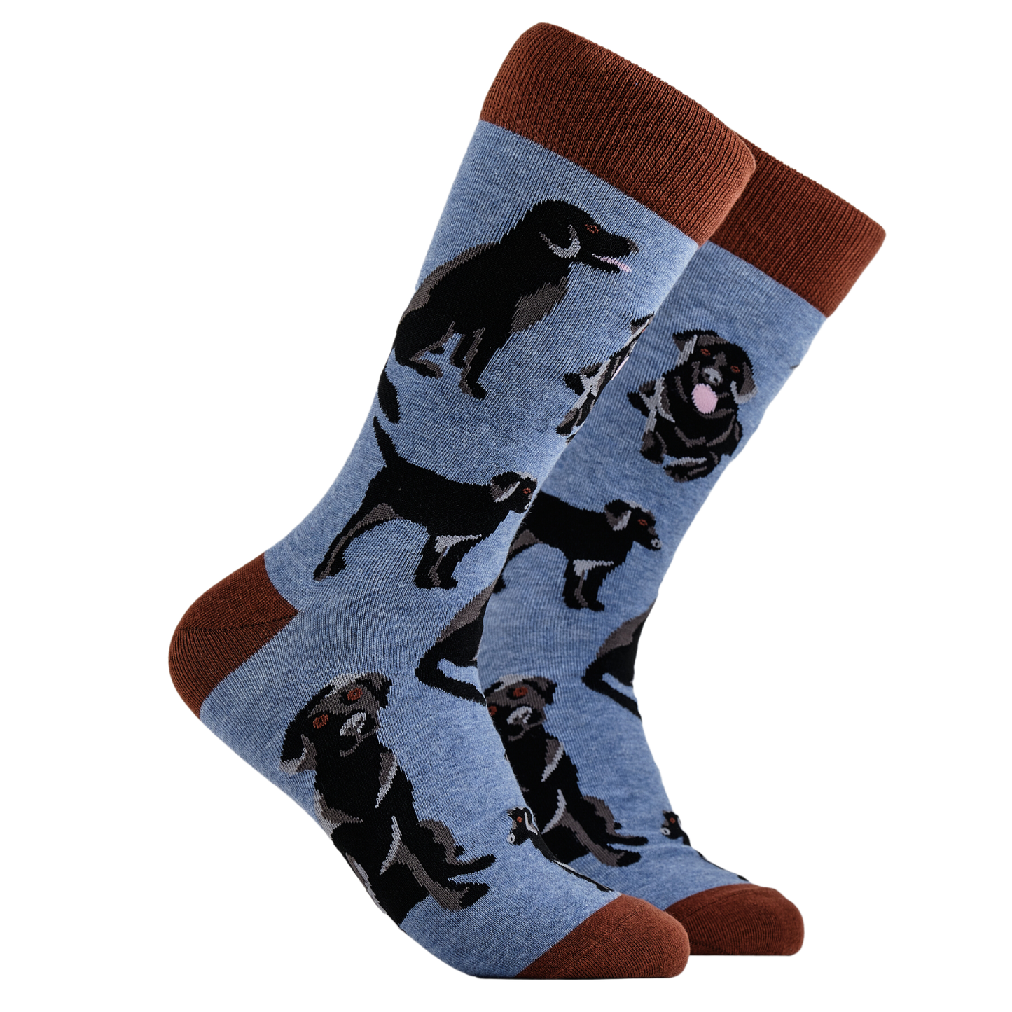 Socktopus | Womens Socks | Labradors