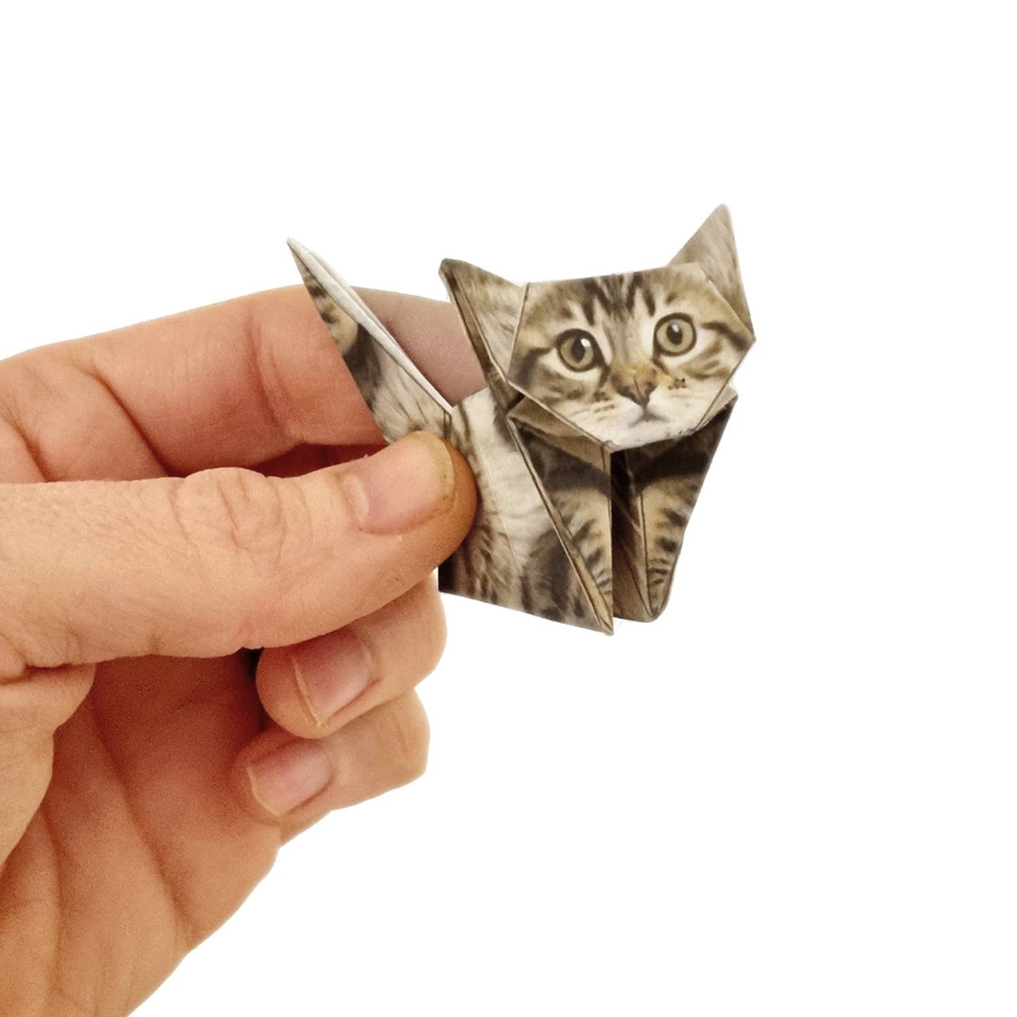 Pikkii | Cute DIY Origami Kit | Paper Cats