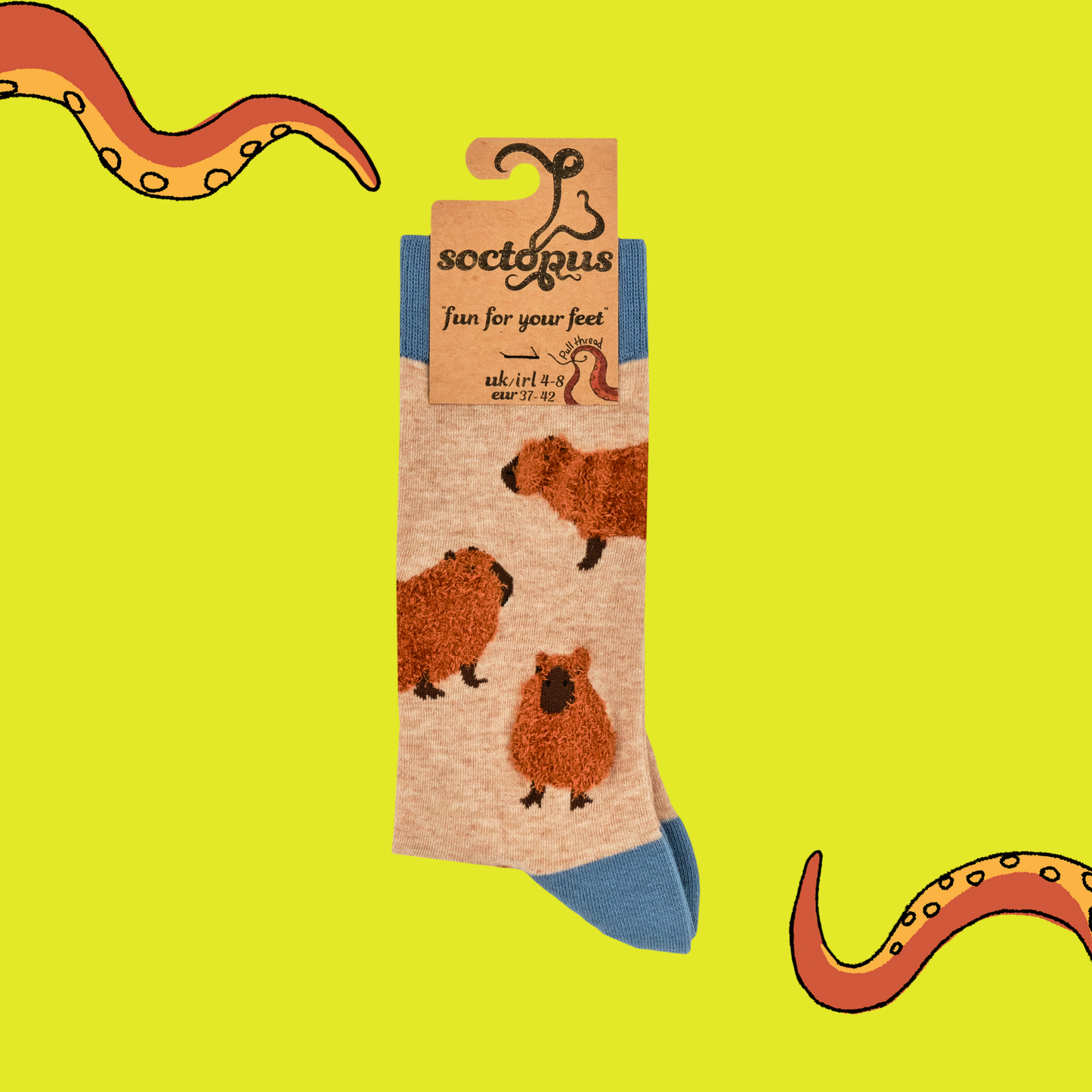 Socktopus | Capybara | S UK 4-8