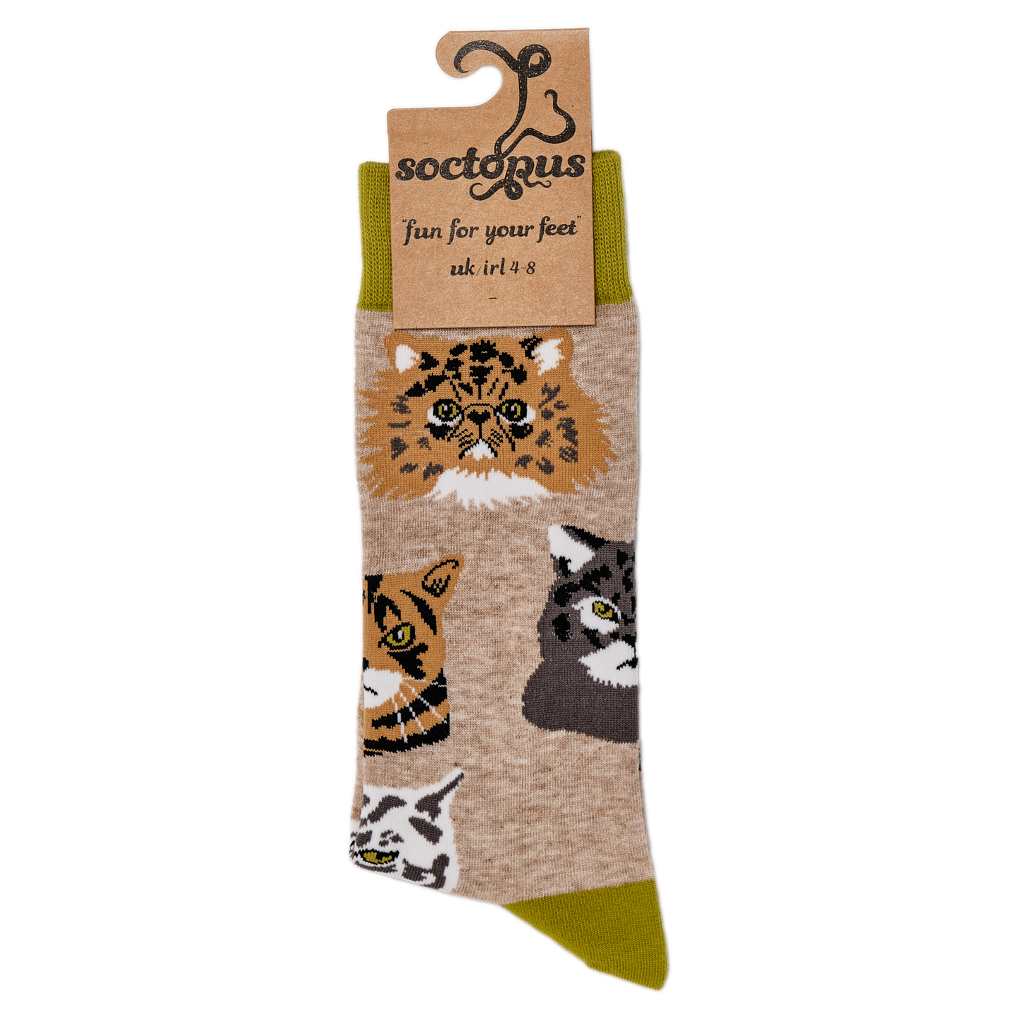 Socktopus | Grumpy Cats Socks | Ooatmeal | S UK 4-8