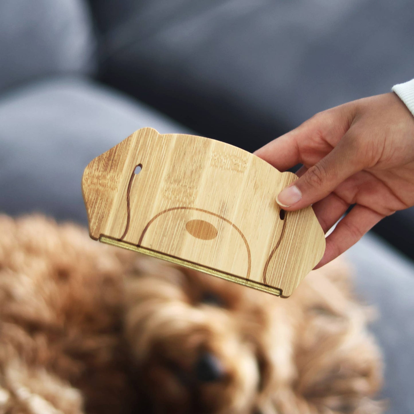 Pikkii | Dog Hair Remover