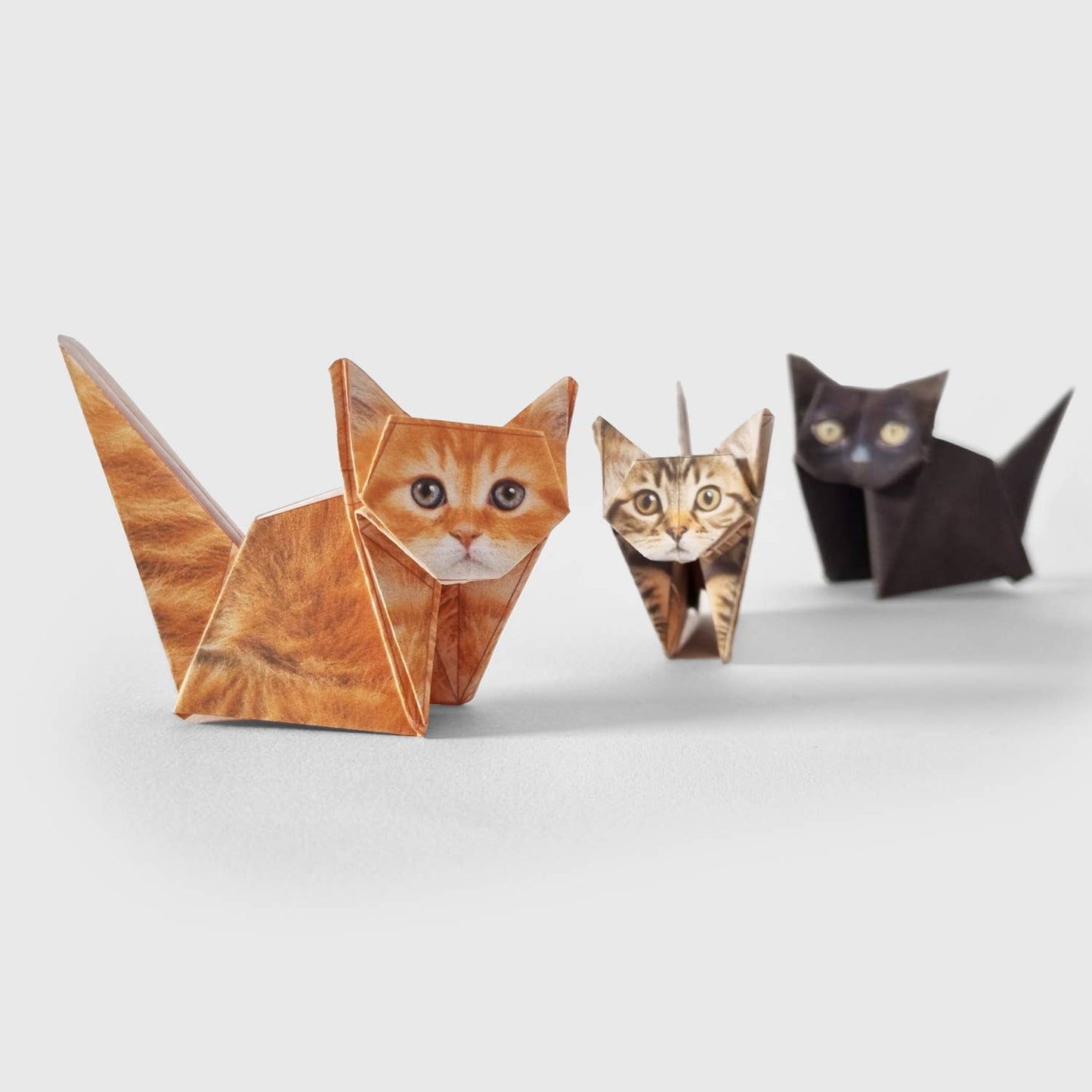 Pikkii | Cute DIY Origami Kit | Paper Cats