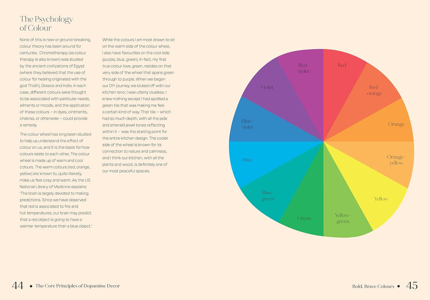 Book | Dopamine Home | Rachel Verney