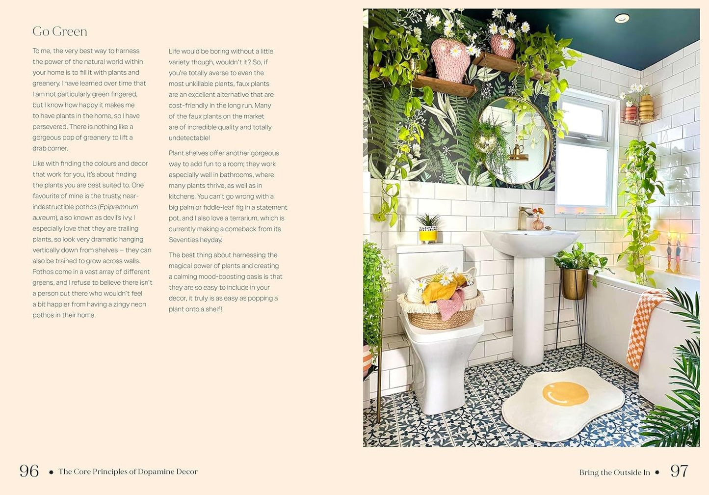 Book | Dopamine Home | Rachel Verney