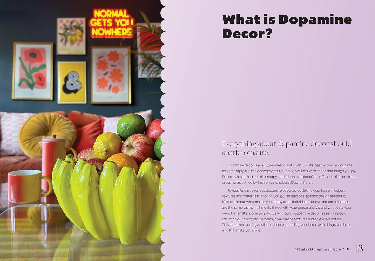 Book | Dopamine Home | Rachel Verney