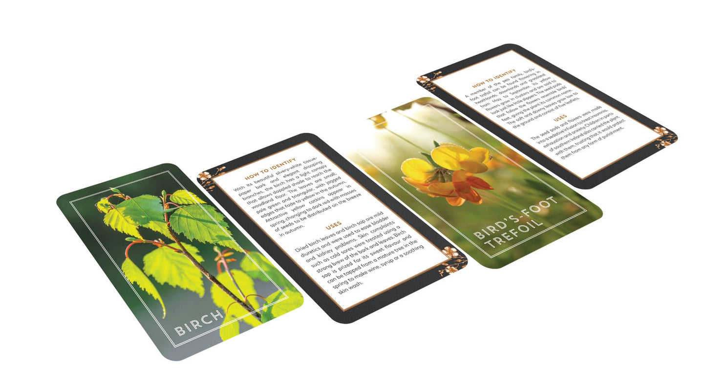 The Hedgerow Apothecary | Forager's Card Deck