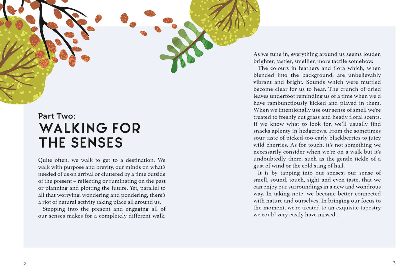 Book | Walking for Mind, Body and Soul