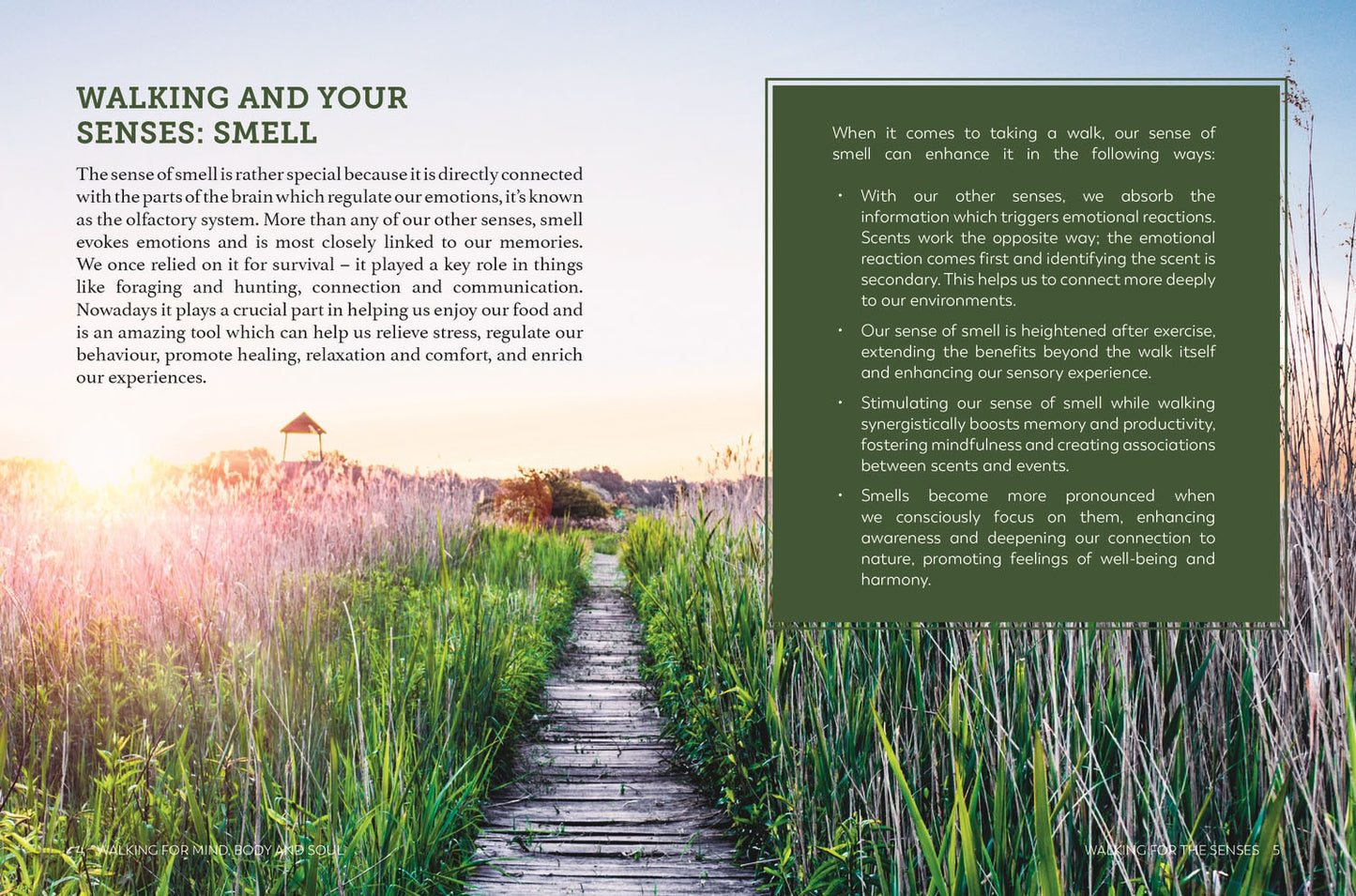 Book | Walking for Mind, Body and Soul