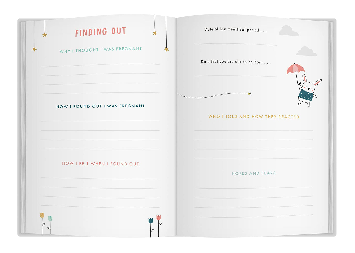 Book of "Bump to Birthday"