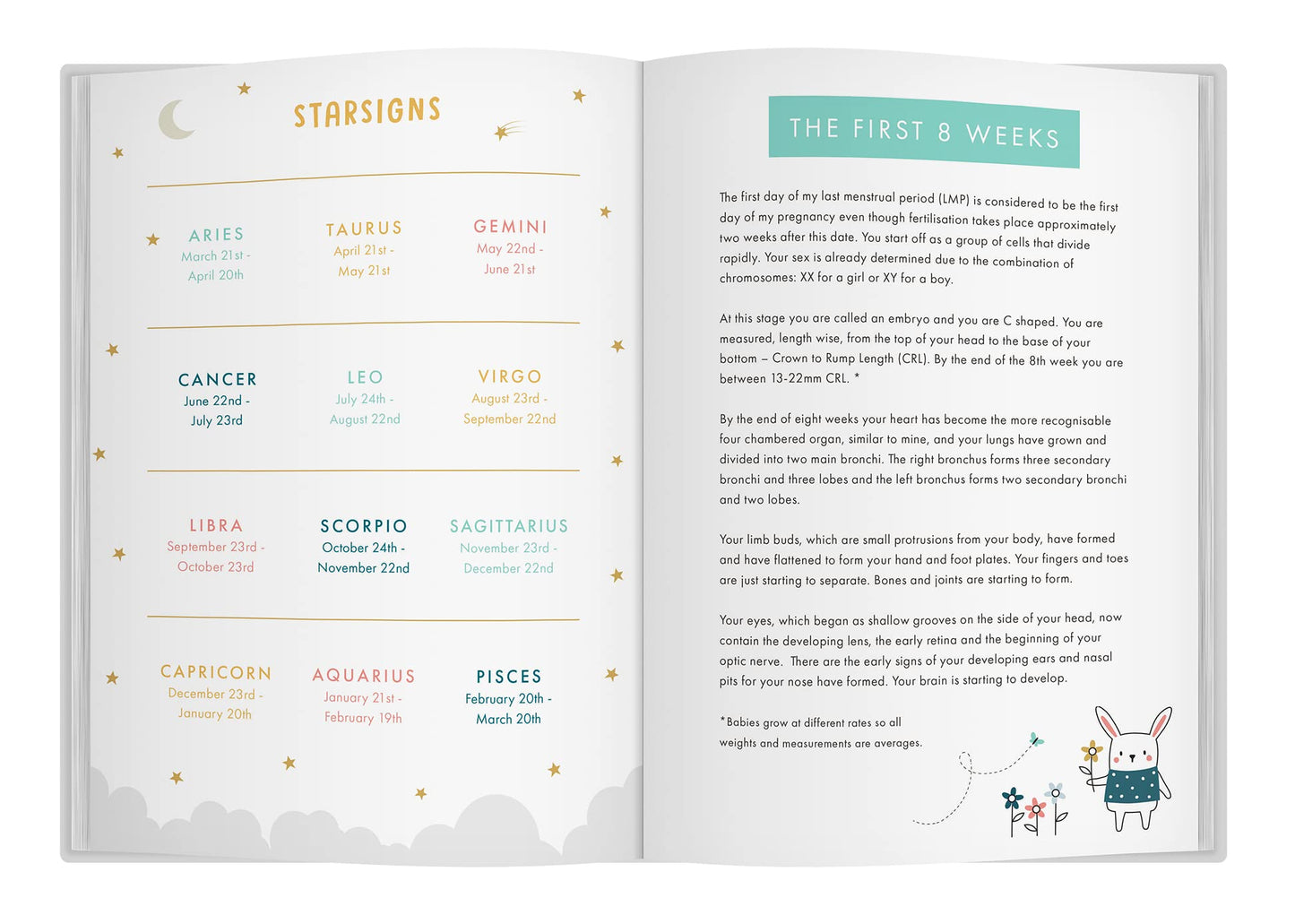Book of "Bump to Birthday"