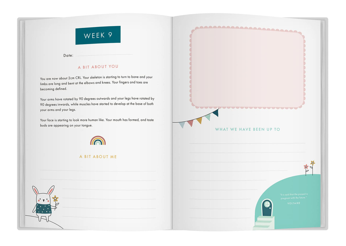 Book of "Bump to Birthday"