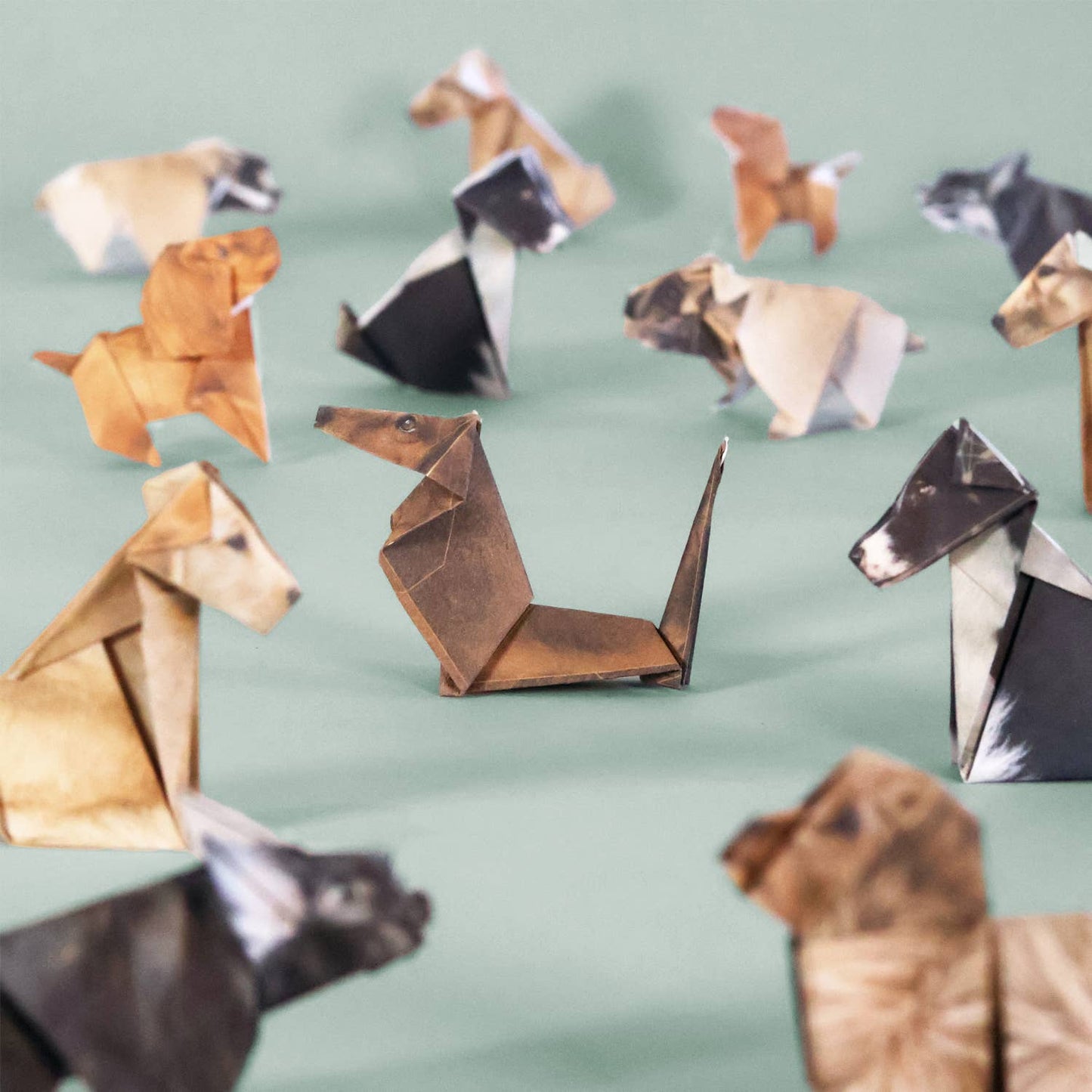 Pikkii | Cute DIY Origami Kit | Paper Pups