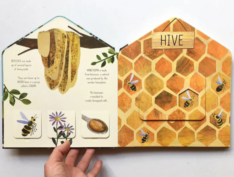 Book | Bug Hotel