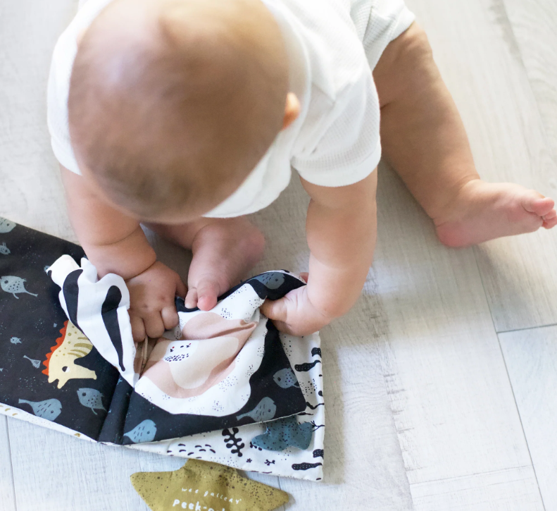 Baby's First Crinkle Peek-a-Book | Peekaboo Ocean