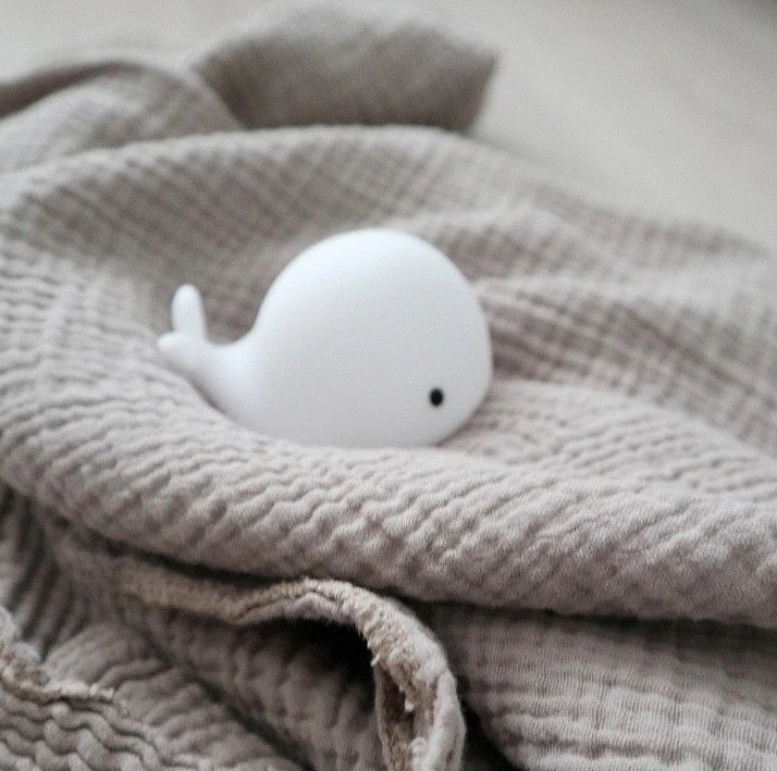 Flow Amsterdam | Moby Night Light
