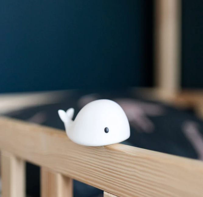 Flow Amsterdam | Moby Night Light