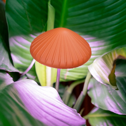 Kikkerland | Mushroom Grow Light