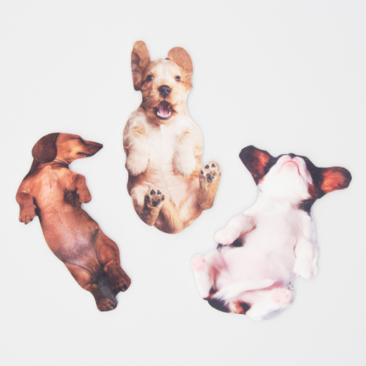 Suck UK | Pawfect Nails | Dog Nail Files