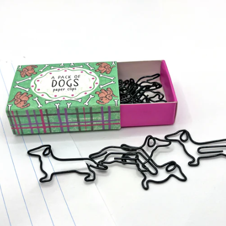 Neon Magpie | Paperclips | A Pack Of Dogs
