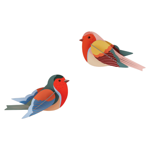 3D Wall Art | Robins