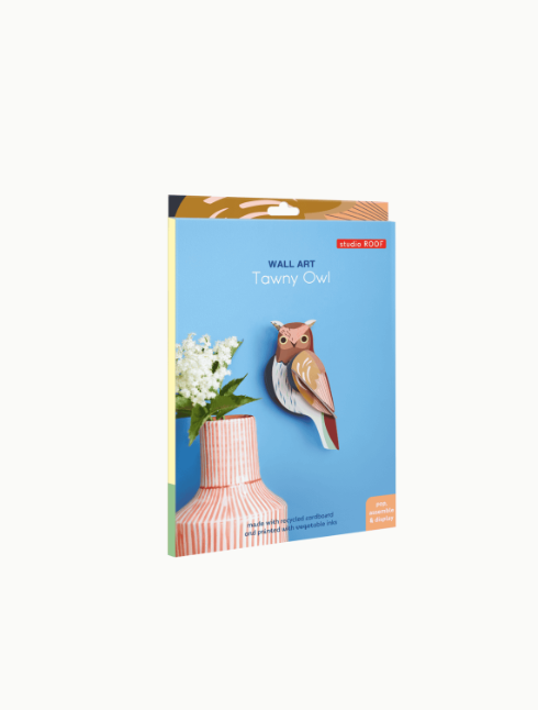 Studio Roof | Tawny Owl