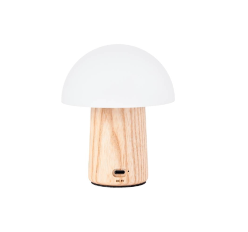 Gingko | Alice Mushroom Lamp | Super Mini