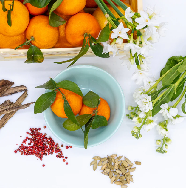 Olor | Candle Tin | Mandarin & Sandalwood
