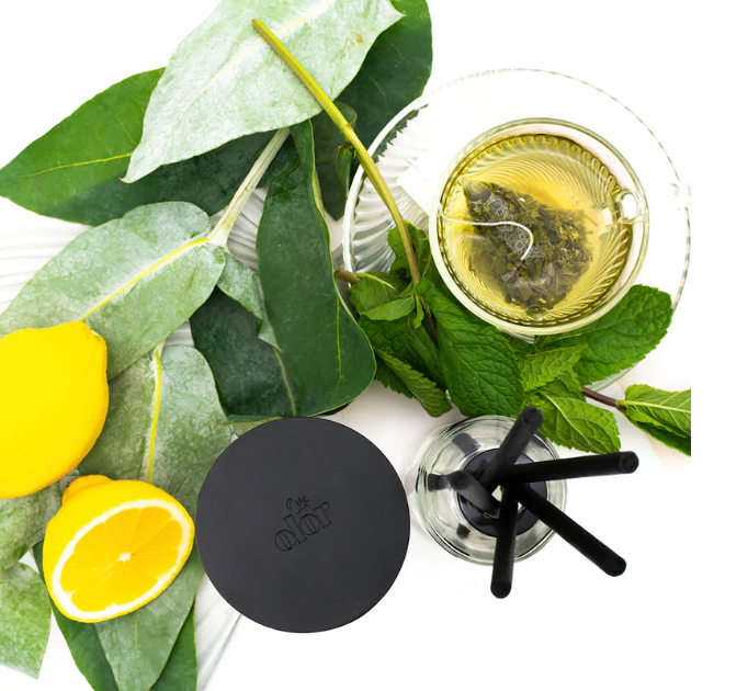 Olor | Candle Tin | Wild Mint Tea