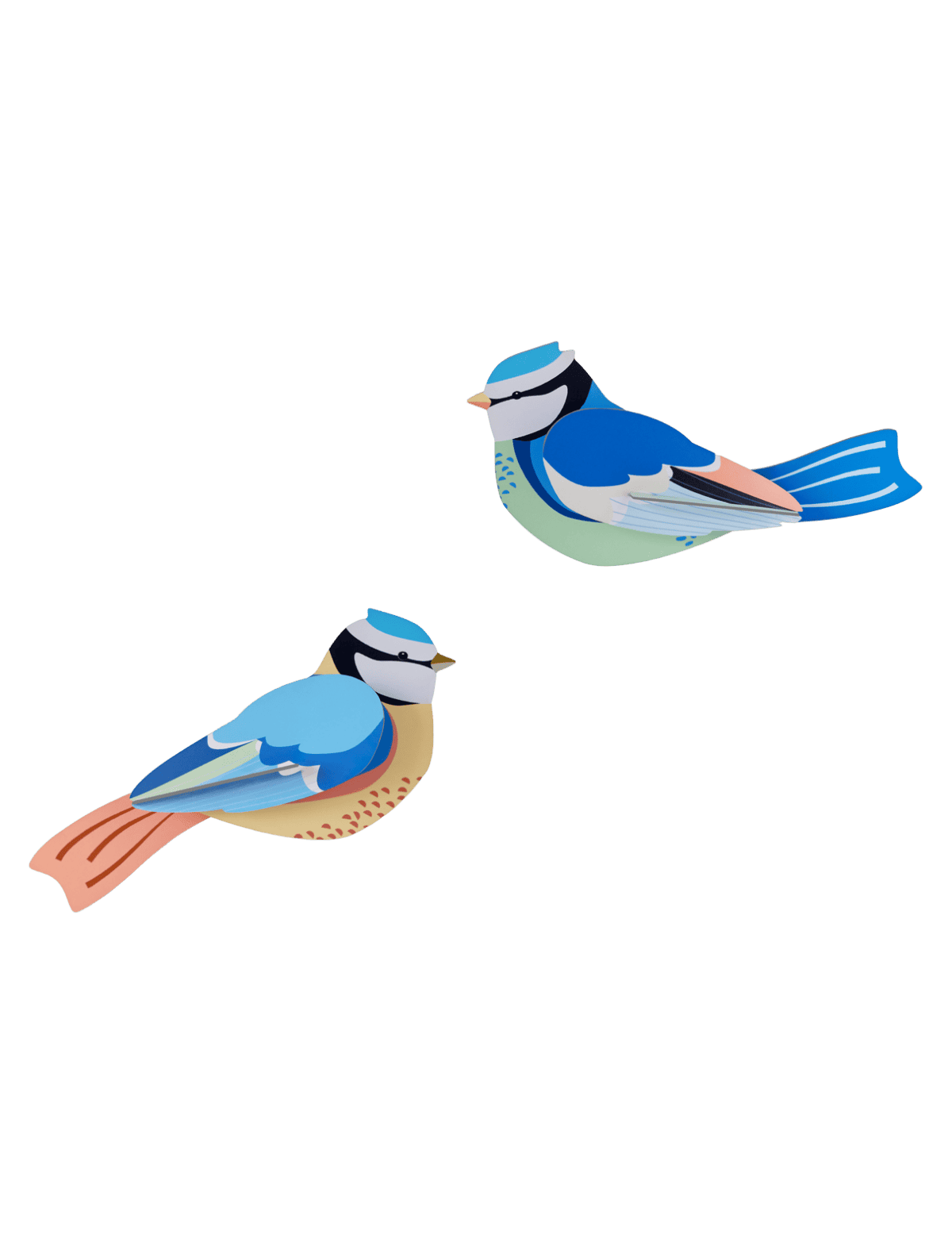 3D Wall Art | Blue Tits