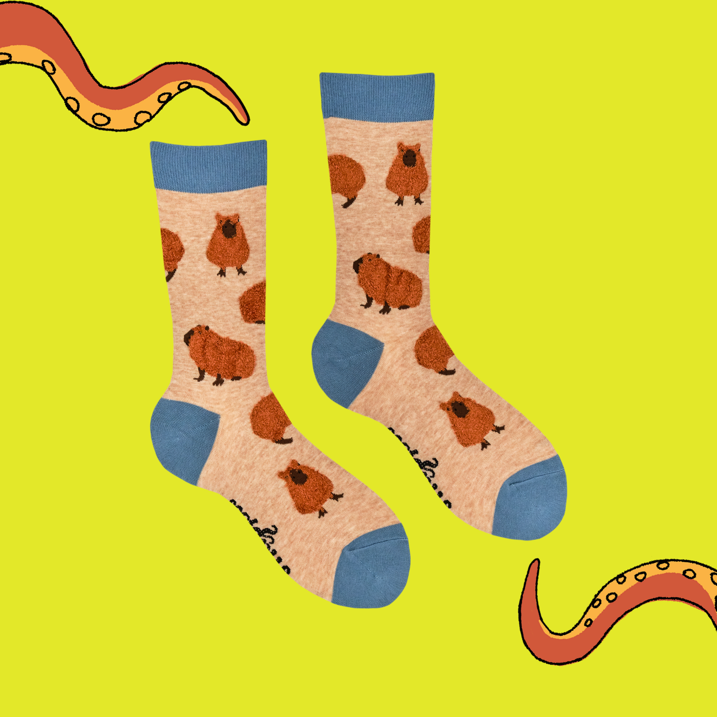 Socktopus | Capybara | S UK 4-8