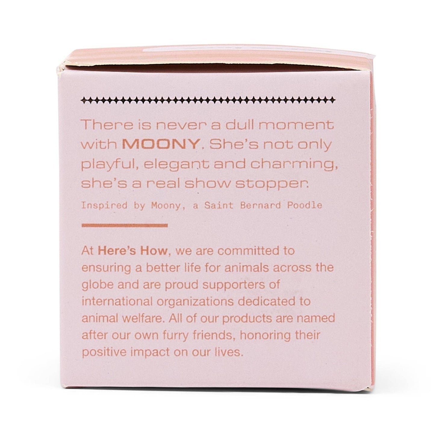 Designworks Collective | The Moony Glass Bottle Stopper | Blush
