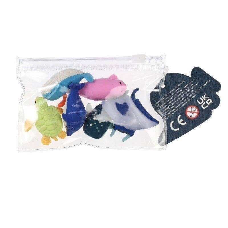 Rex | Ocean Animal Erasers