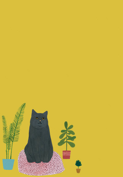 Roger La Borde | Letter Writing Set | Chouchou Cat
