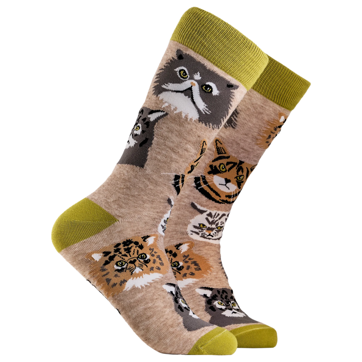 Socktopus | Grumpy Cats Socks | Ooatmeal | S UK 4-8