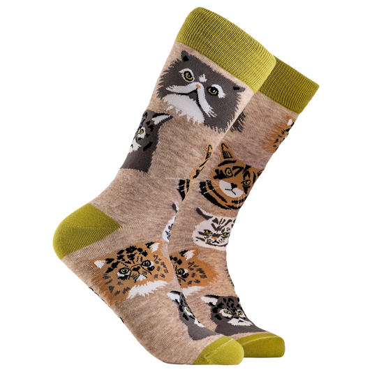 Socktopus | Grumpy Cats Socks | Ooatmeal | S UK 4-8