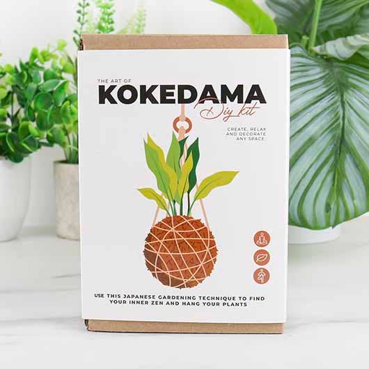 Gift Republic | The Art of Kokedama | DIY Kit