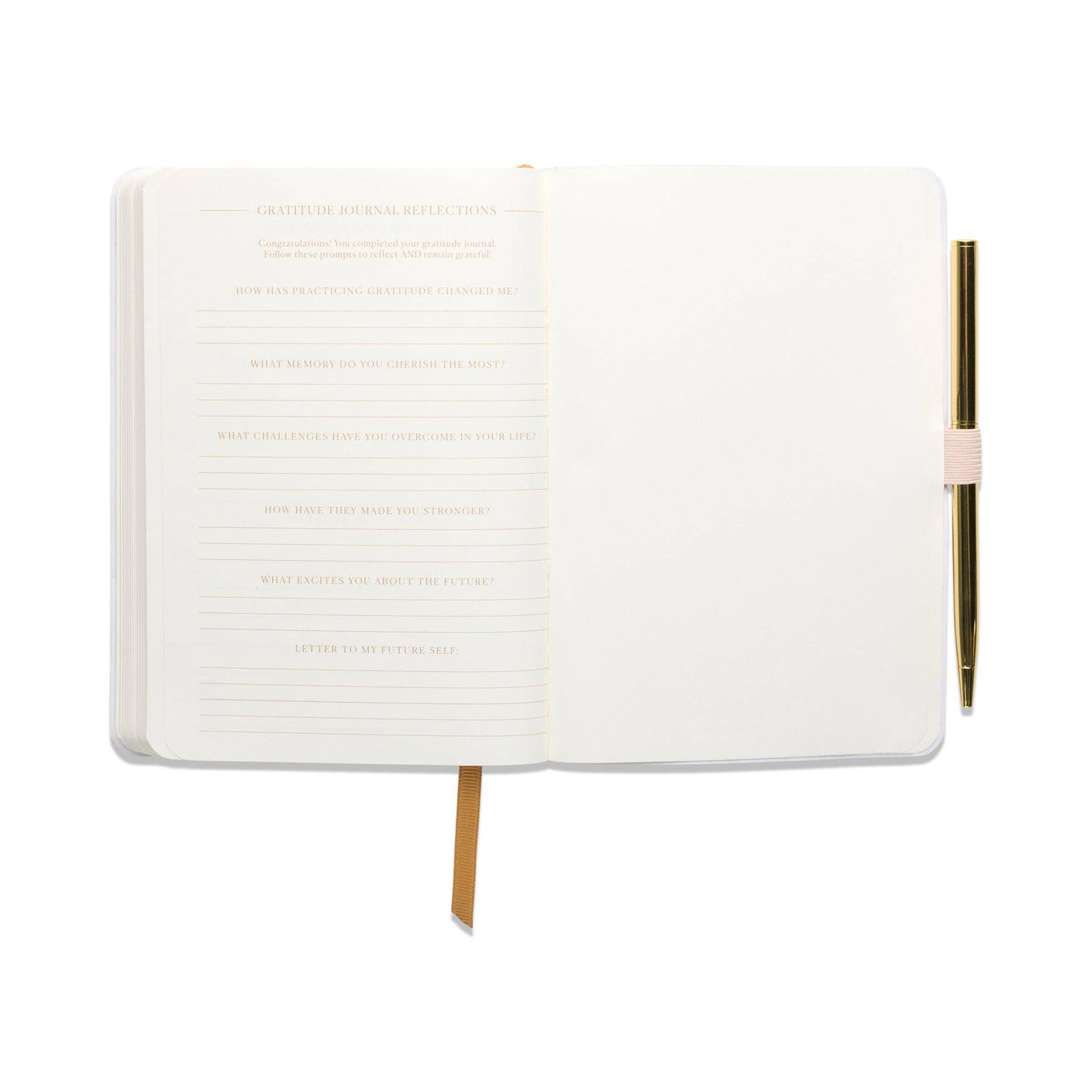 Designworks Collective | Gratitude Journal | Pause