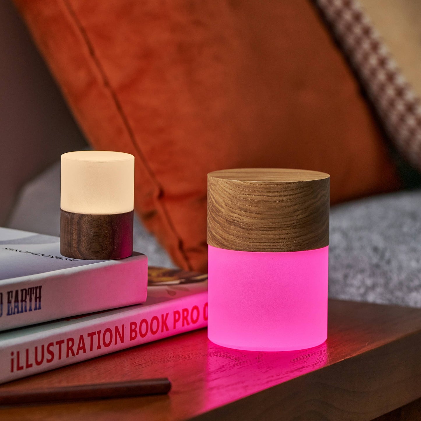 Gingko Design | Mini Lemelia Night Light | White Ash