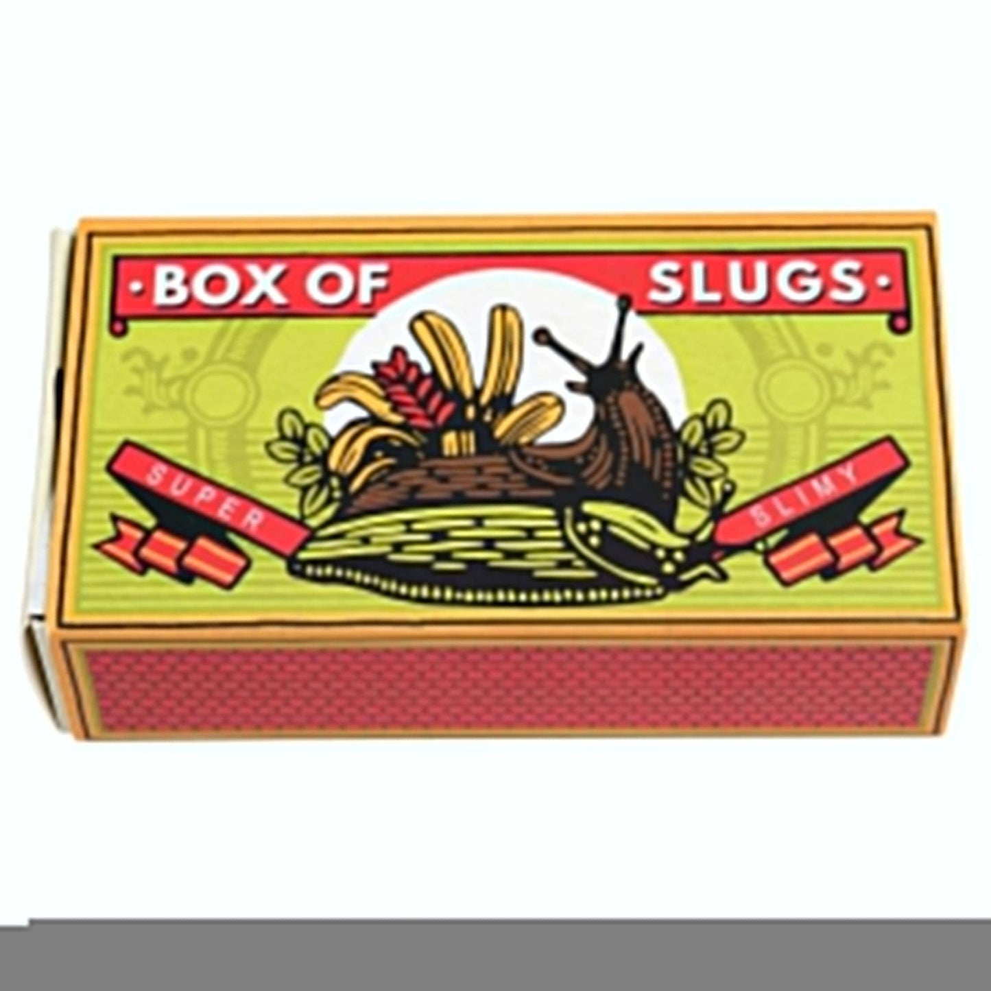Rex | Box of Two Slimy Slugs