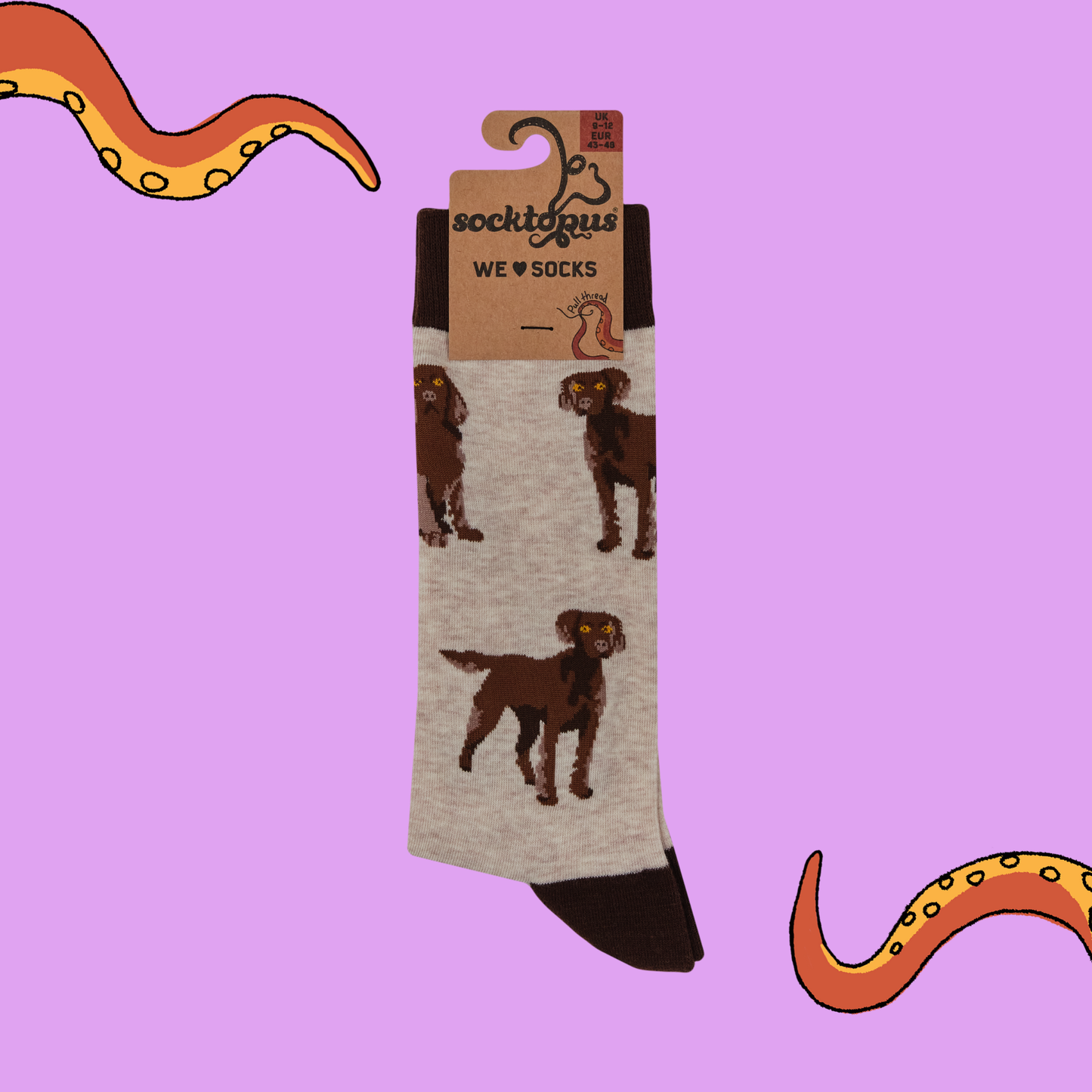 Socktopus | Span au Chocolat | Ooatmeal | L UK 9-12