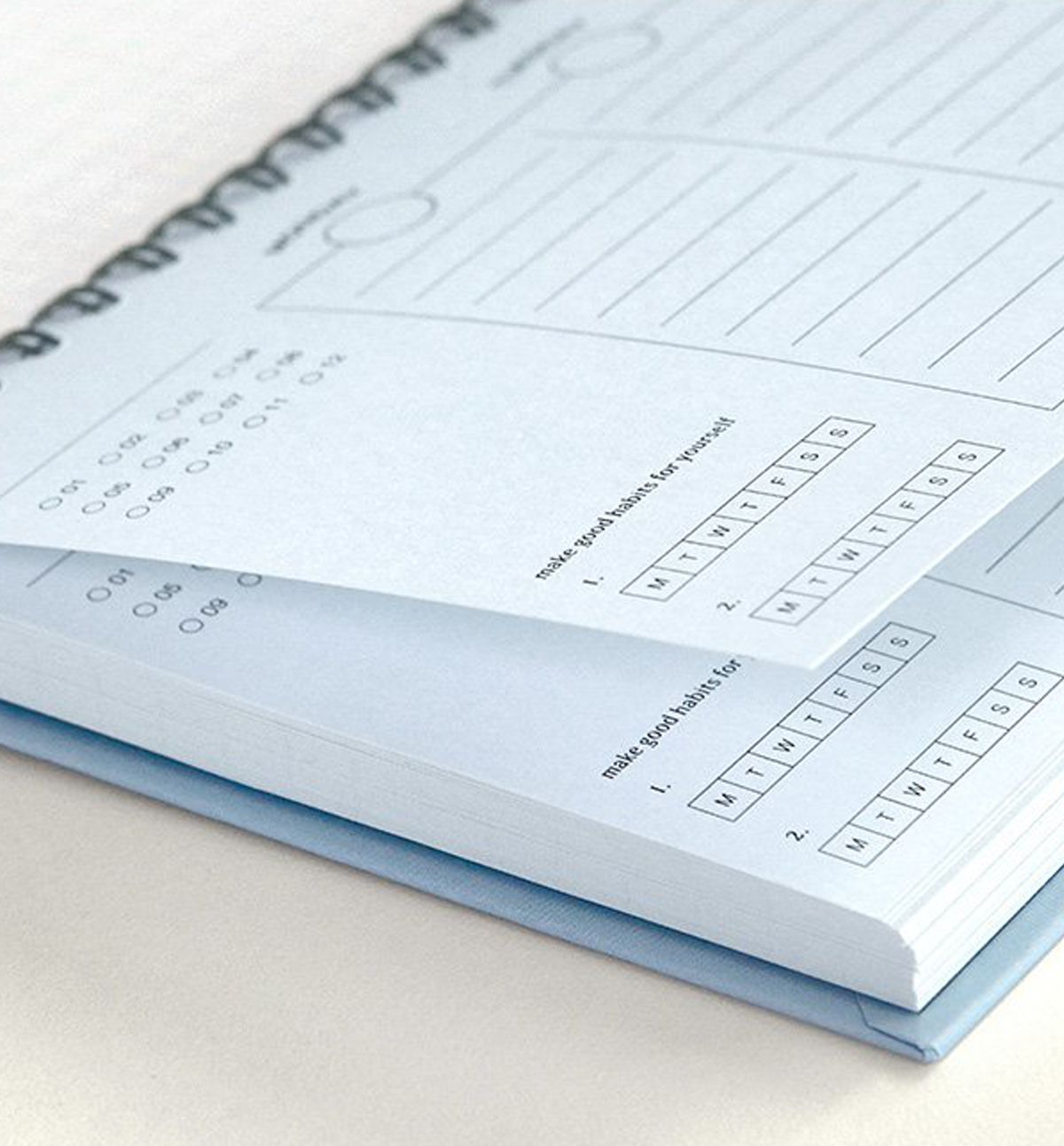 Iconic | Flow Weekly Undated Planner | Soft Blue