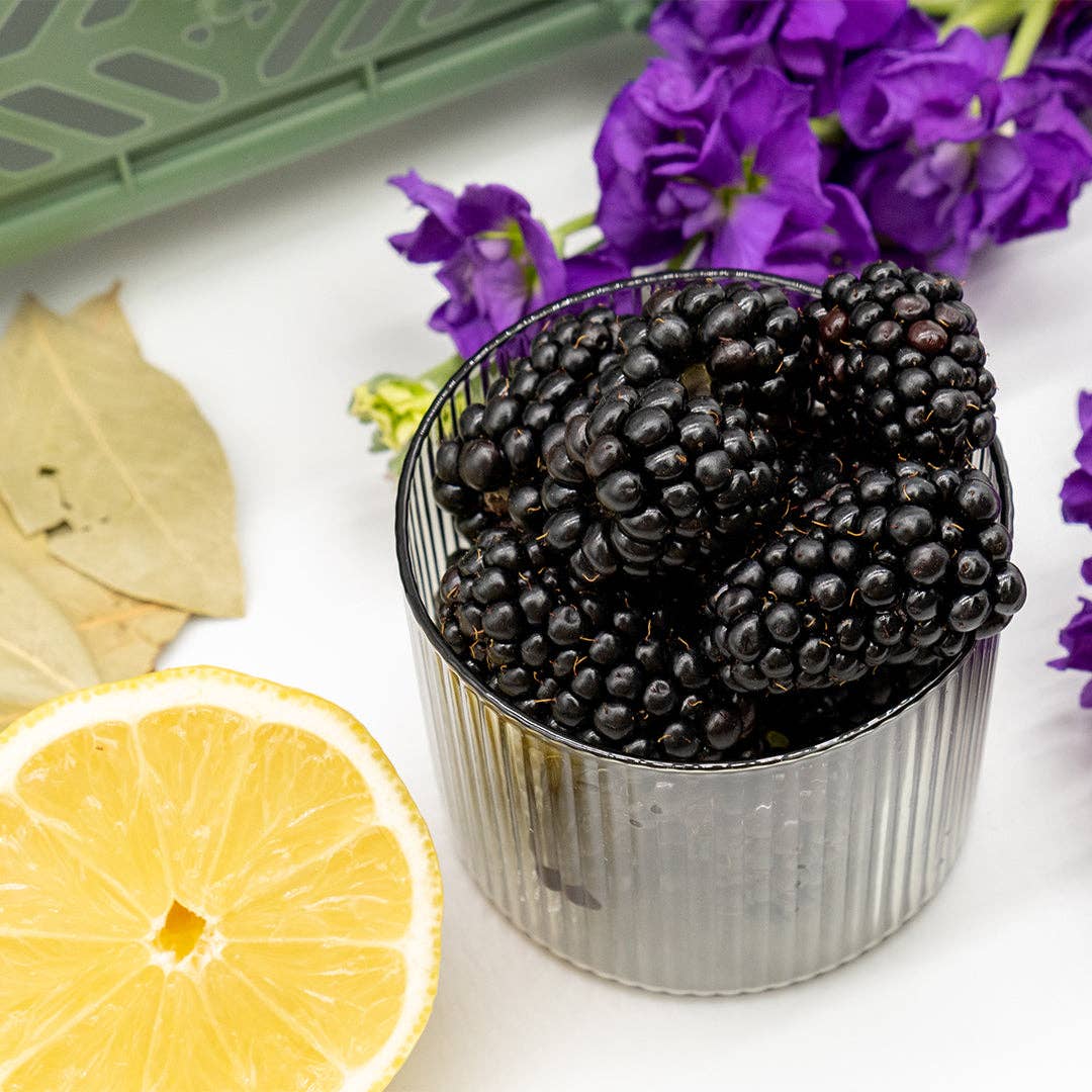 OLOR |  Mini Jar Candle | Bay Tree + Blackberry