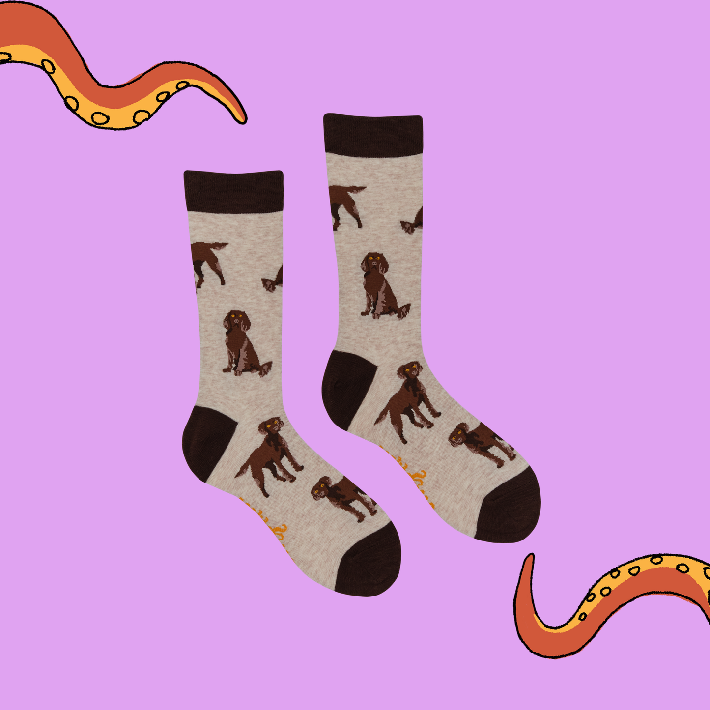Socktopus | Span au Chocolat | Ooatmeal | L UK 9-12