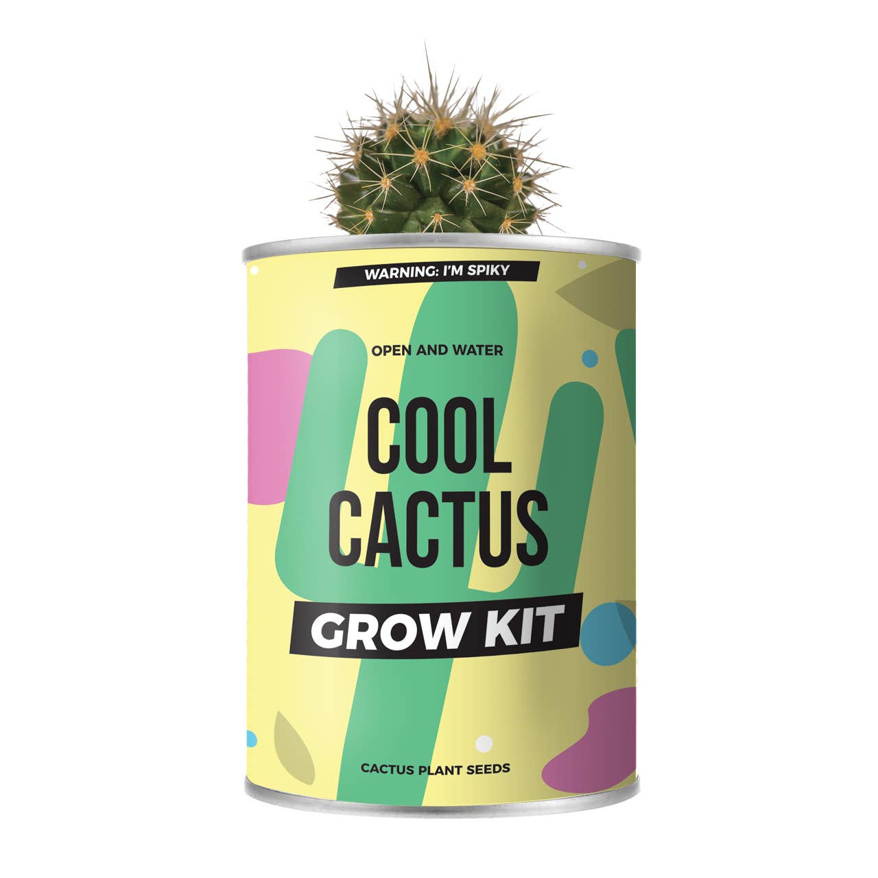 Cool Cactus Grow Tin