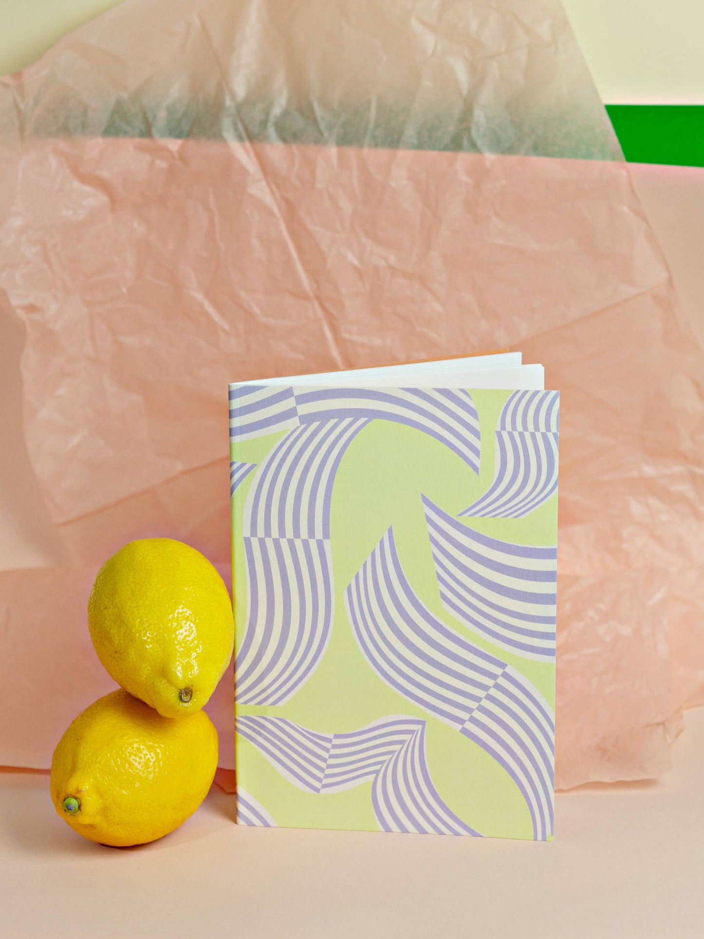 The Completist (No duties on USA orders!) - Palermo Slimline Notebook: Dot Grid