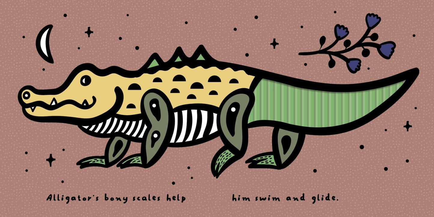 Wee Gallery | Touch And Feel | Scales