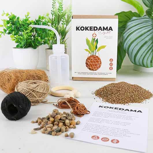 Gift Republic | The Art of Kokedama | DIY Kit