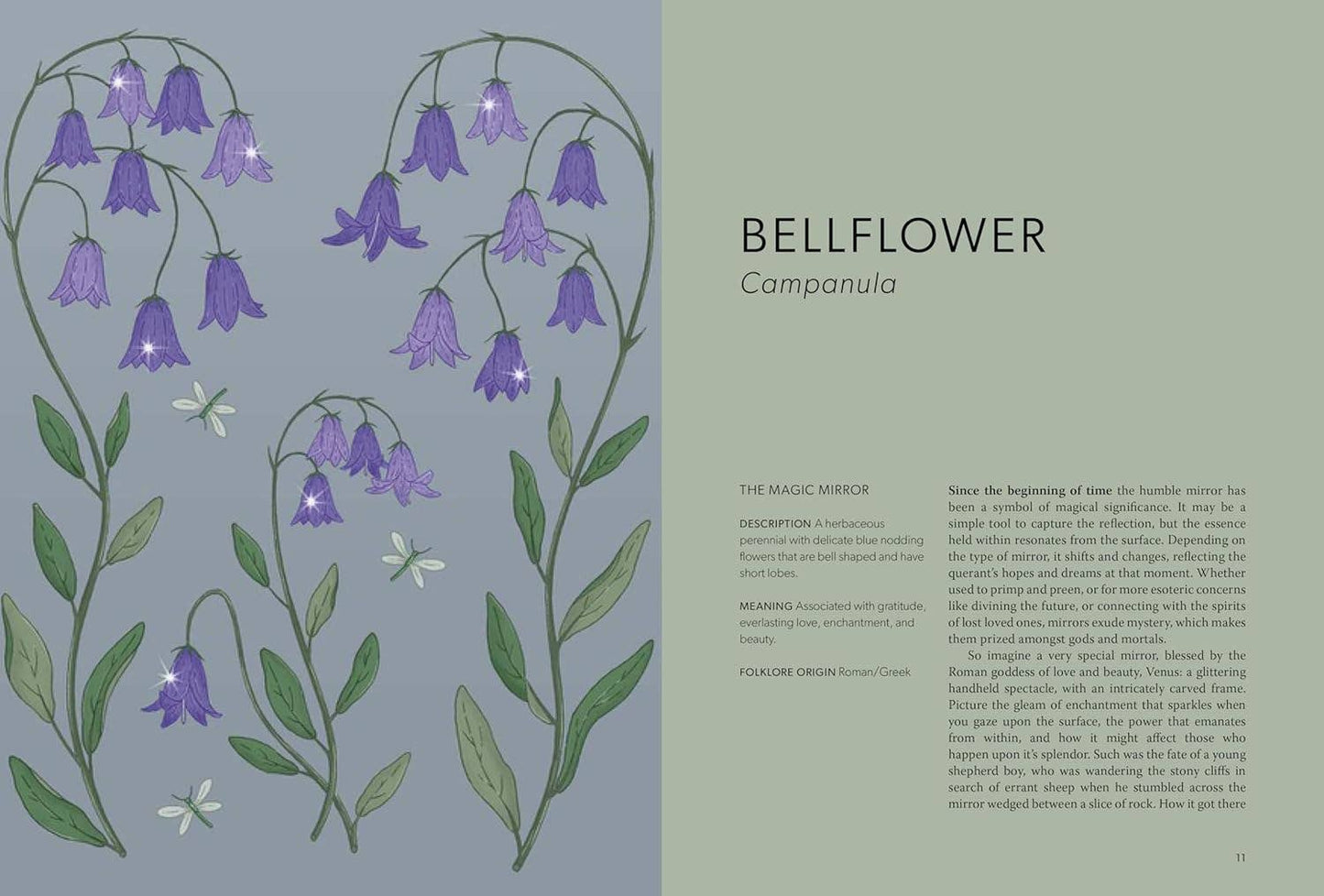 Book | Floral Folklore