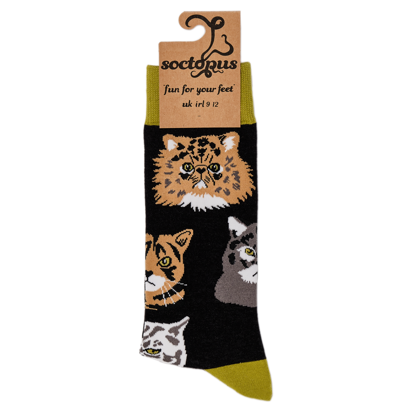Socktopus | Grumpy Cats Socks | BLACK | L UK 9-12